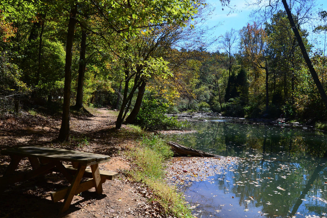 Tuscaloosa, Alabama: Scenic views of the woods at Tannehill Ironworks Historical State Park 2000pc Puzzle