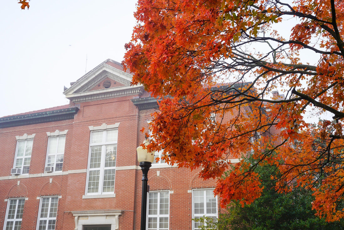 National Historic District in Harrison, Arkansas during autumn 2000pc Puzzle