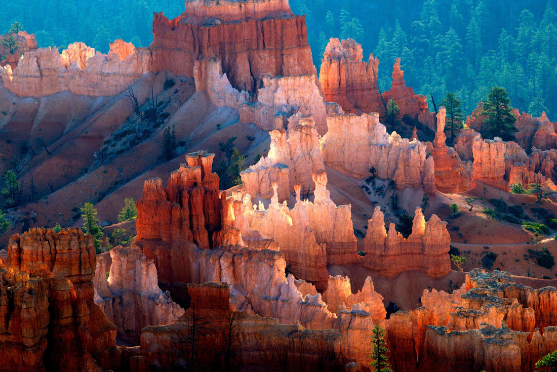 Beautiful colors in the Canyon, Bryce Canyon National Park, Utah, USA 2000pc Puzzle