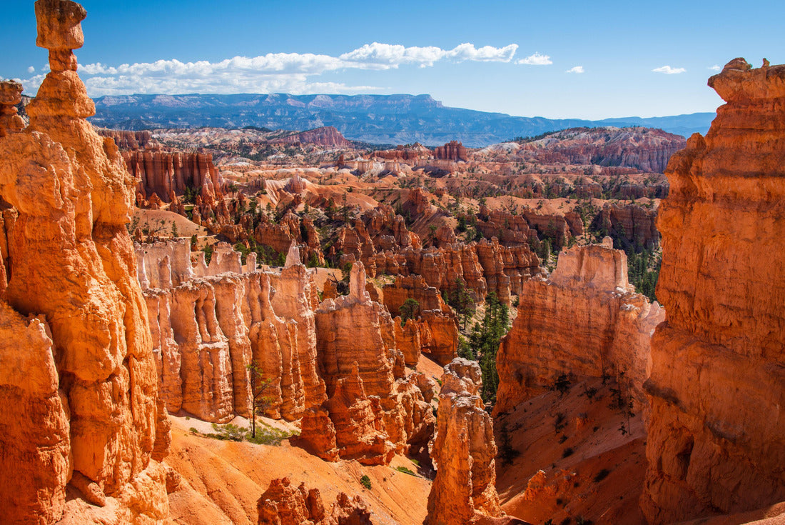 Bryce Canyon National Park at Navajo Loop Trail, Utah, USA 2000pc Puzzle