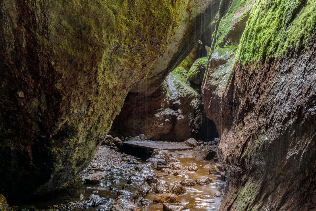 Noah Jigsaw Puzzle Bear Gulch lower cave on a rainy day. Pinnacles National Park, San Benito County, California, USA 2000 pieces