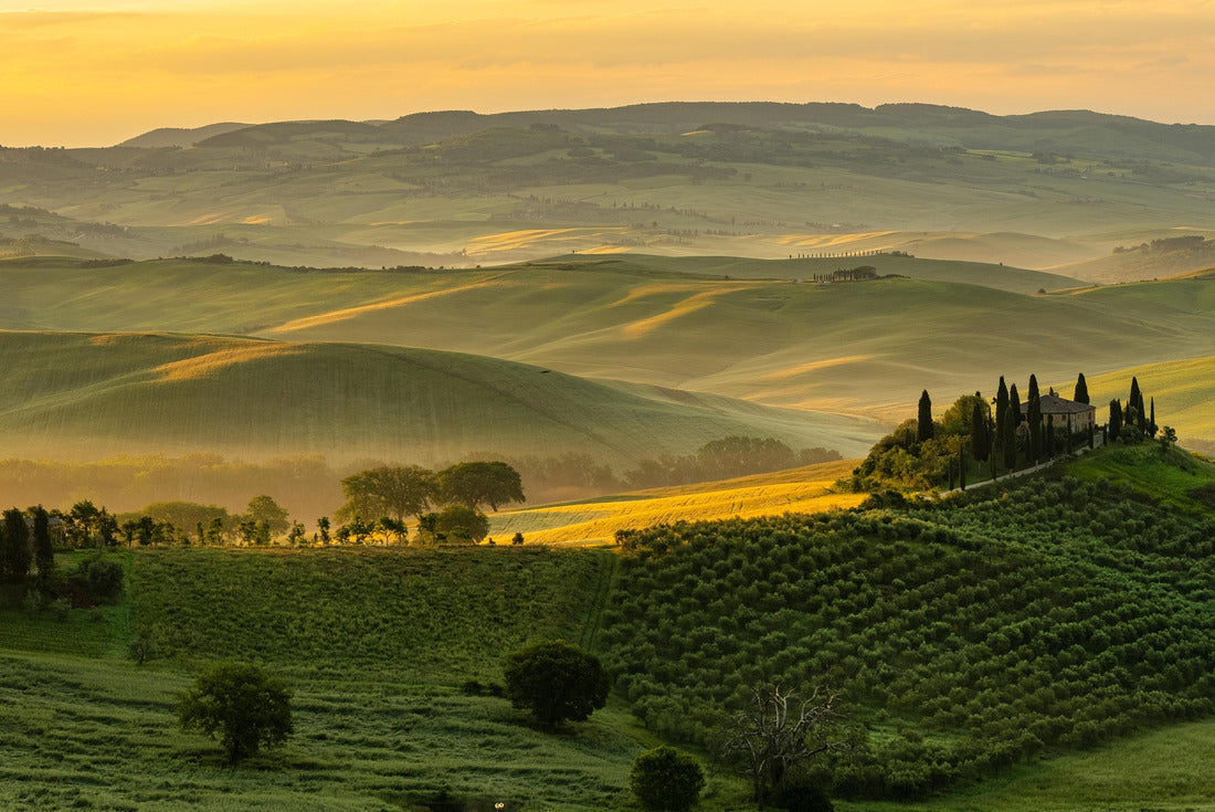 Noah Jigsaw Puzzle Tuscany - landscape panorama, hills and meadow, Tuscany - Italy 2000 pieces