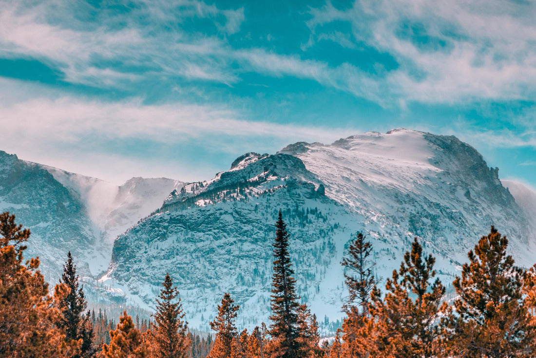 Noah Jigsaw Puzzle Rocky mountain national park mountains and trees 2000 pieces