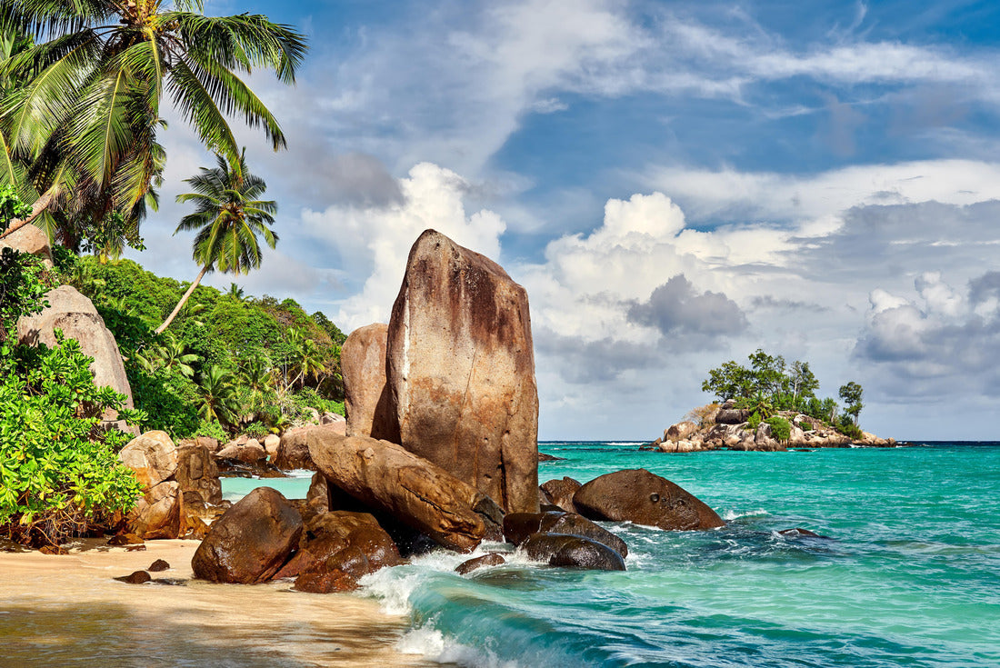 Noah Jigsaw Puzzle Beautiful beach with palm tree and rocks landscape at Seychelles, Mahe 2000 pieces