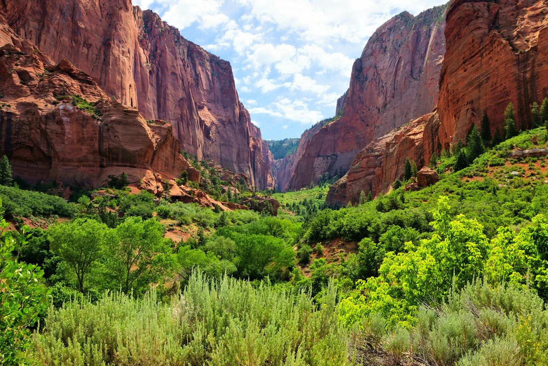 Zion National Park, view through the red cliffs of Kolob Canyon, USA 2000pc Puzzle