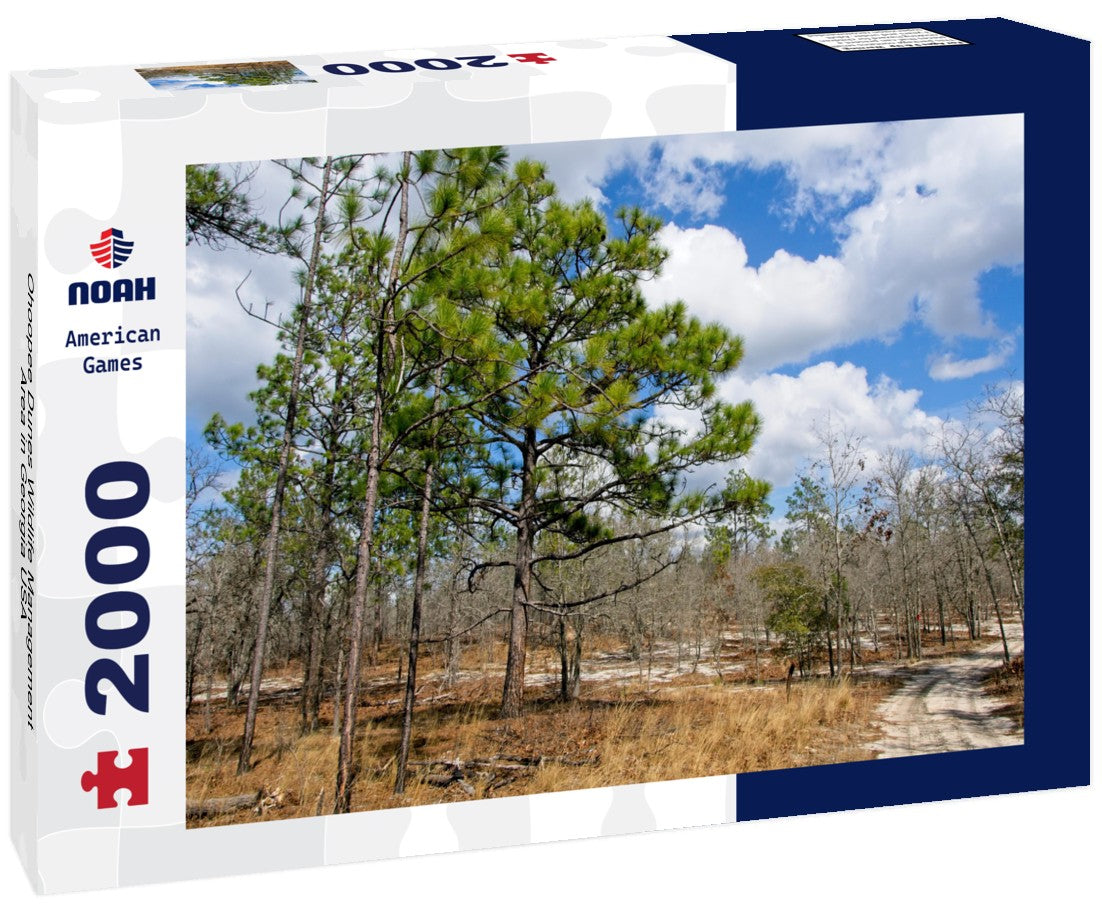 Ohoopee Dunes Wildlife Management Area in Georgia USA 2000pc Puzzle