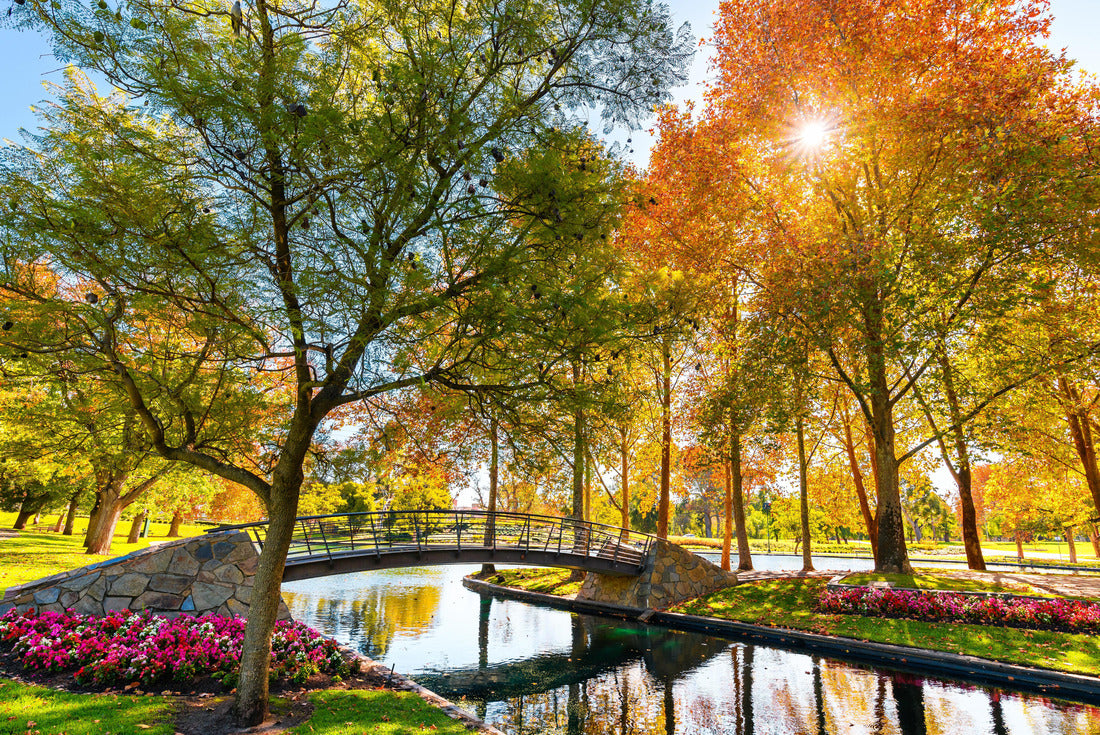Rymill Park with bridge over the pond in Adelaide city on a sunny autumn day 2000pc Puzzle