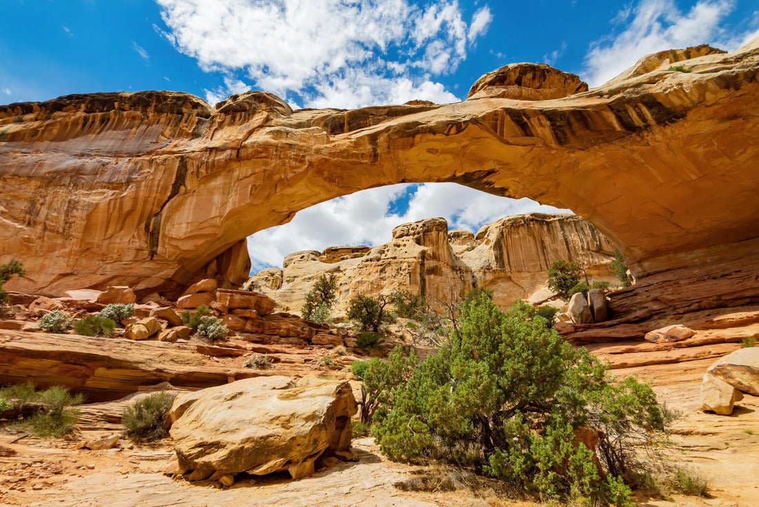 Sunny view of the Hickman Bridge of Capitol Reef National Park at Utah 2000pc Puzzle