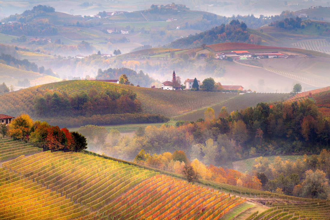 Sunrise on Barolo country and fog in Langhe region, Piedmont. Unesco world heritage site in Northern Italy. Agricultural vineyards and viticulture 2000pc Puzzle