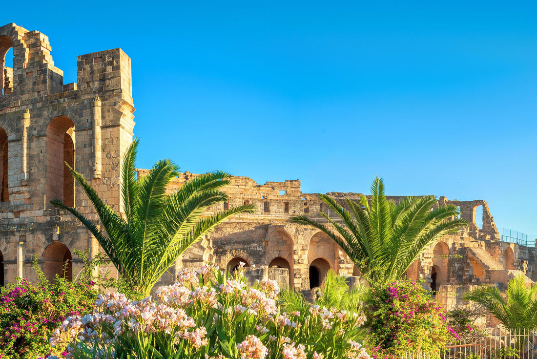Noah Jigsaw Puzzle Panoramic view of the Roman amphitheater in El Djem. Tunisia, North Africa 2000 pieces