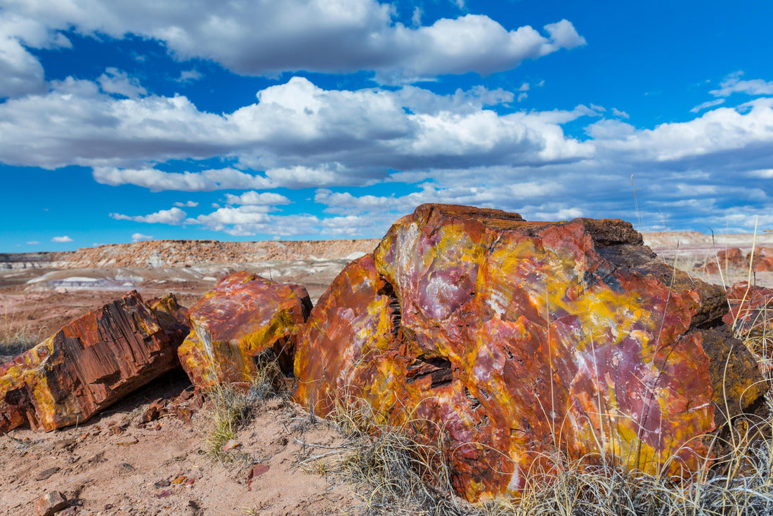 Petrified wood at the badlands of the Petrified Forest National Park in Arizona state of the United States of America, North America 2000pc Puzzle