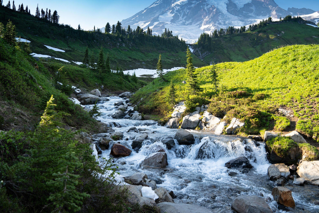 Noah Jigsaw Puzzle Myrtle Falls in Mount Rainier National Park in Washington State 2000 pieces