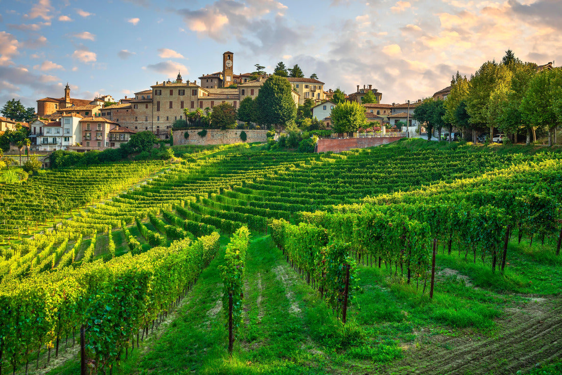 Neive village and Langhe vineyards, Unesco site, Piedmont, northern Italy Europe 2000pc Puzzle
