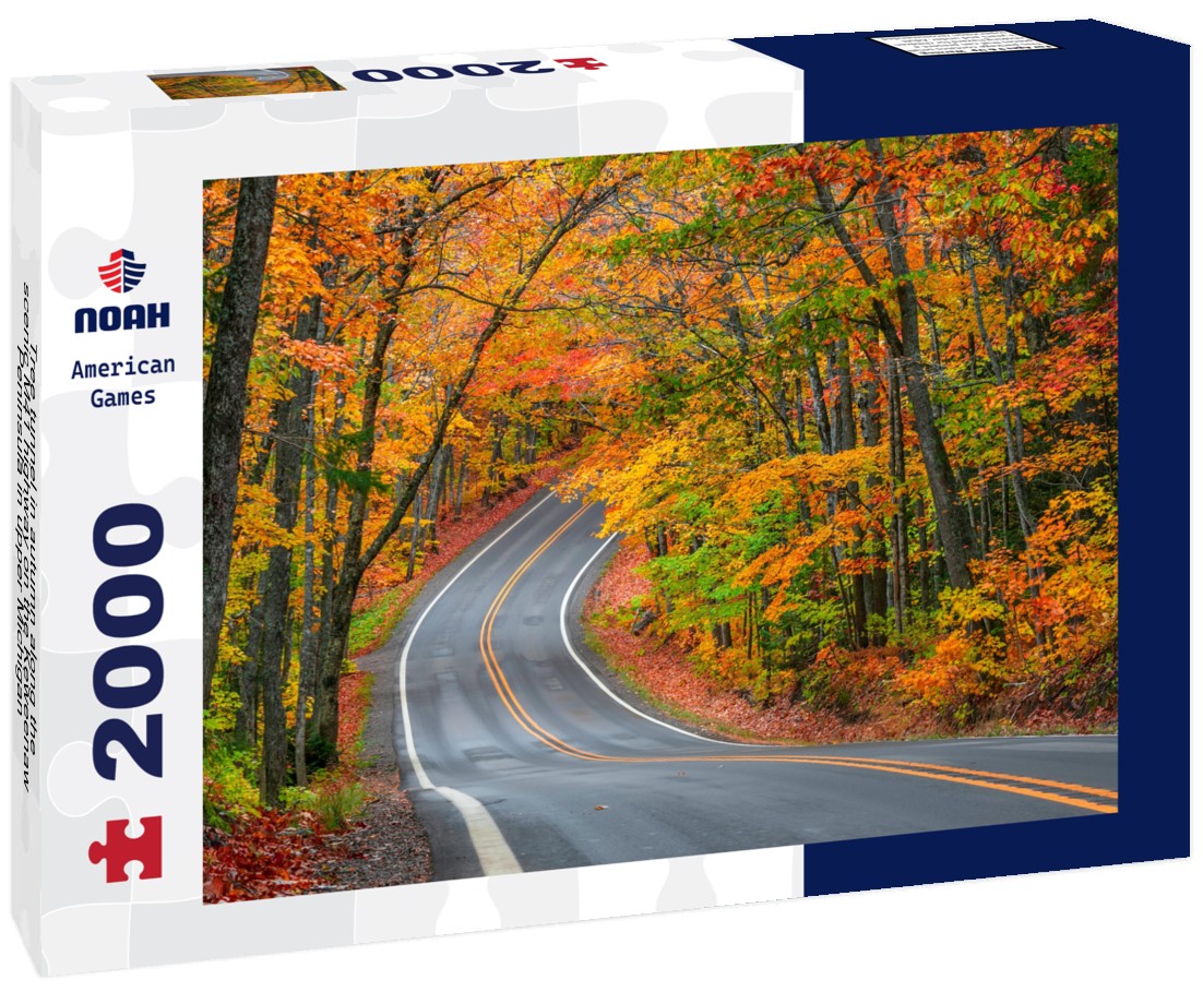 Tree tunnel in autumn along the scenic M41 highway on the Keweenaw Peninsula in upper Michigan 2000pc Puzzle