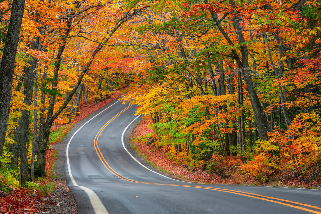 Tree tunnel in autumn along the scenic M41 highway on the Keweenaw Peninsula in upper Michigan 2000pc Puzzle