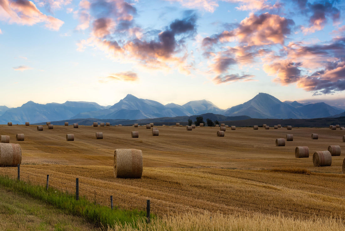 the hay bales on a farm. Dramatic sunrise summer sky. Near Pincher Creek, Alberta, Canada 2000pc Puzzle