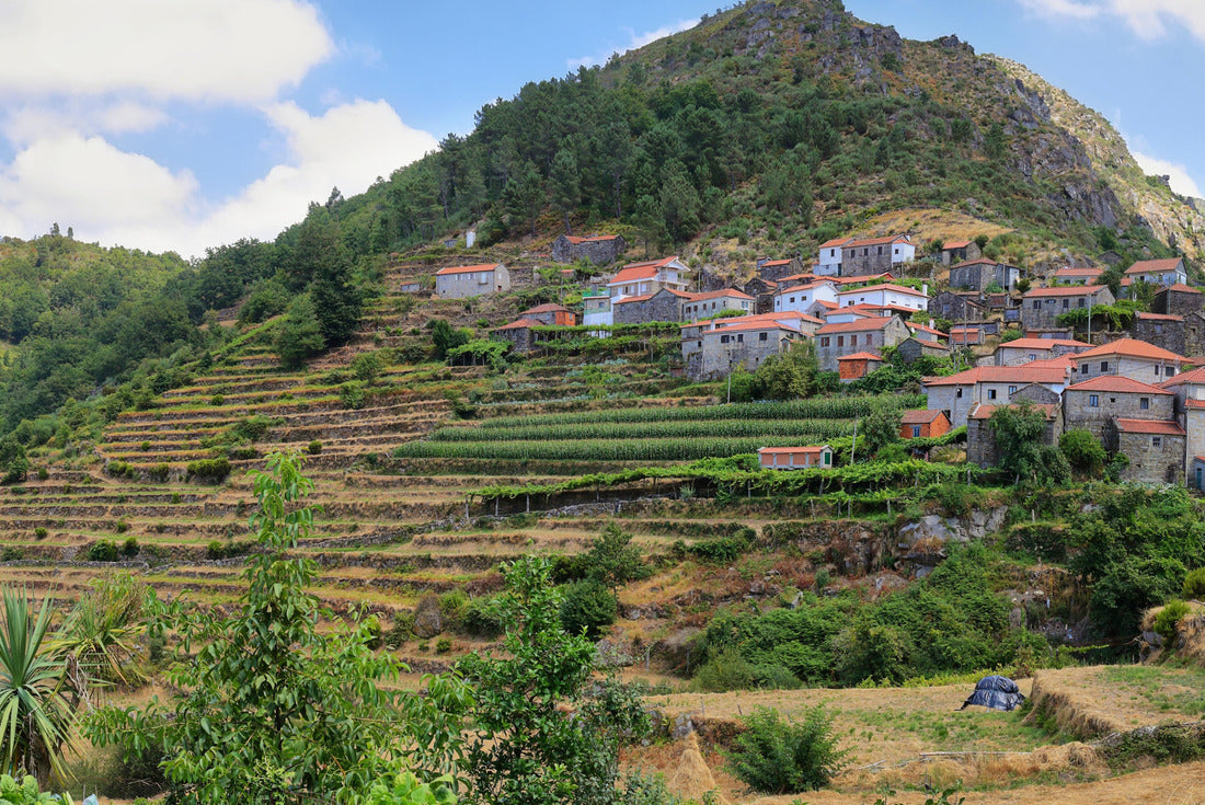 Noah Jigsaw Puzzle Viewpoint of the Terraces looking out over the landscape (famous view of the landscape of Tibet), Sistelo, Arcos de Valdevez, Portugal 2000 pieces