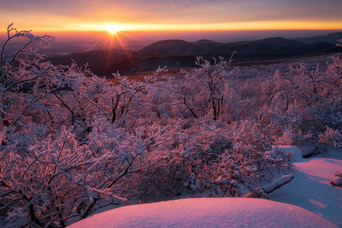 Rime ice lines the trees at sunrise in Shenandoah National Park, Virginia 2000pc Puzzle