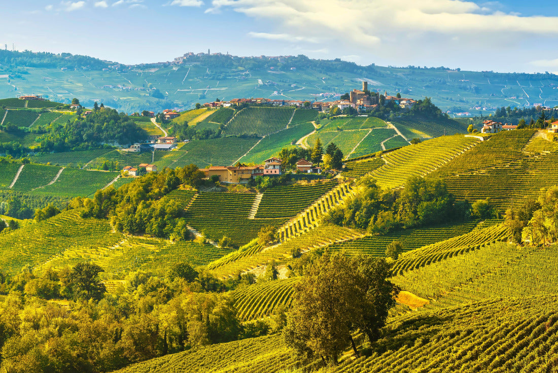 Noah Jigsaw Puzzle Langhe vineyards landscape and Castiglione Falletto village panorama, Unesco site, Piedmont, northern Italy 2000 pieces