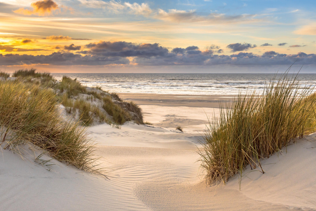 dune top over sunset in the North Sea from the island of Ameland, Friesland, Netherlands 2000pc Puzzle