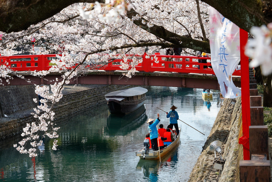 Tourists take a Hanami Boat Tour along Suimon-Gawa Canal under a red bridge and beautiful cherry blossoms (Sakura) in Ogaki 2000pc Puzzle