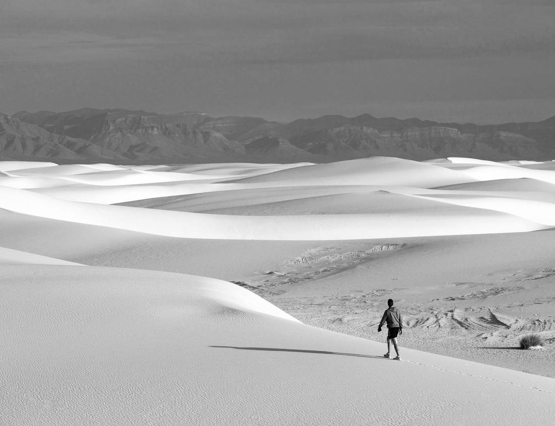 Noah Jigsaw Puzzle The historic houses of Herleshausen in Hessen in black white 1000 pieces