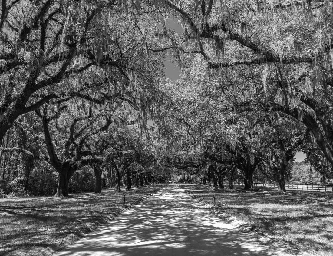 Noah Jigsaw Puzzle iconic Kalemegdan: A symbol of Serbia's capital, where people gather to admire the historic fortress and panoramic views at full moon at night in black white 1000 pieces