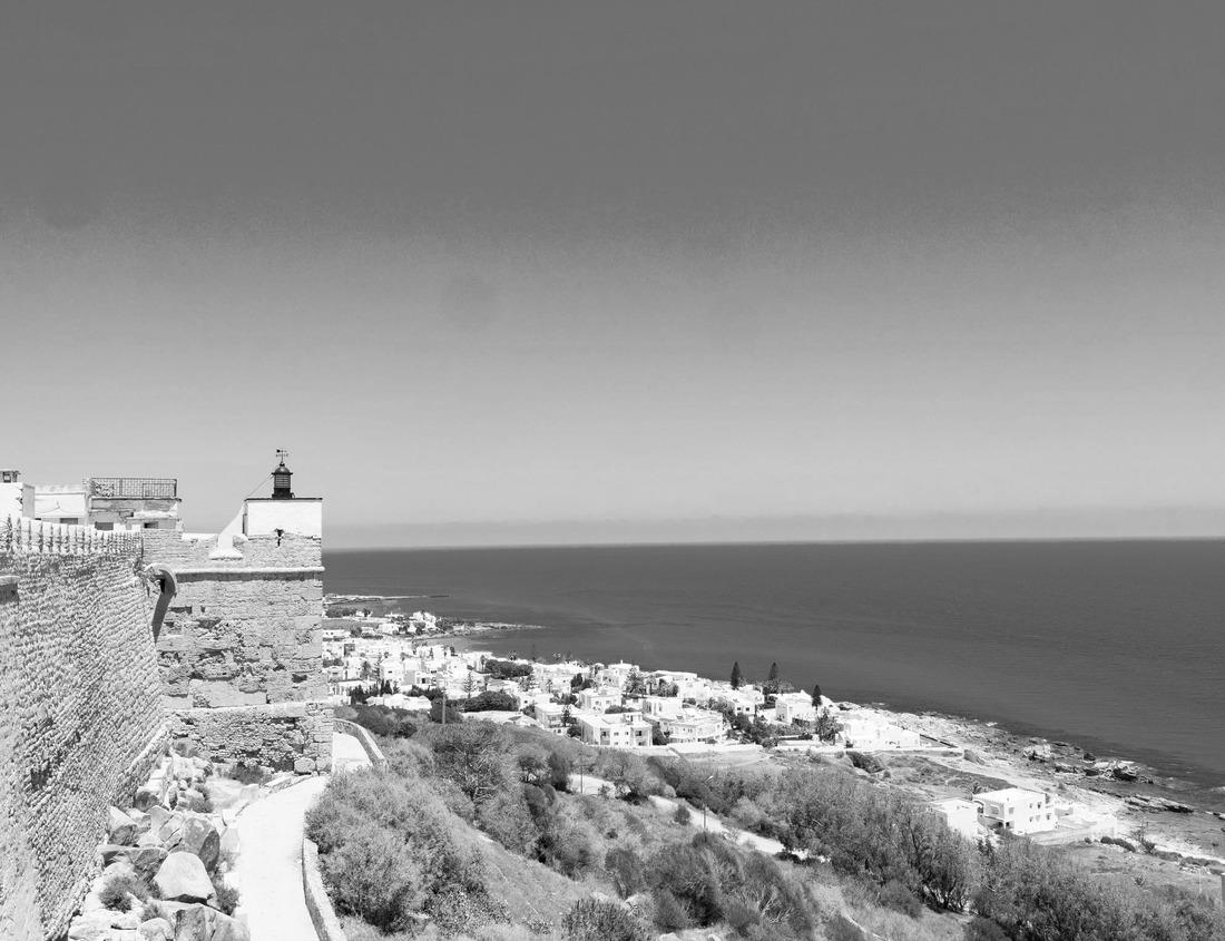 Noah Jigsaw Puzzle Fes magnificent gates of the royal palace in the historical city of morocco in black white 1000 pieces