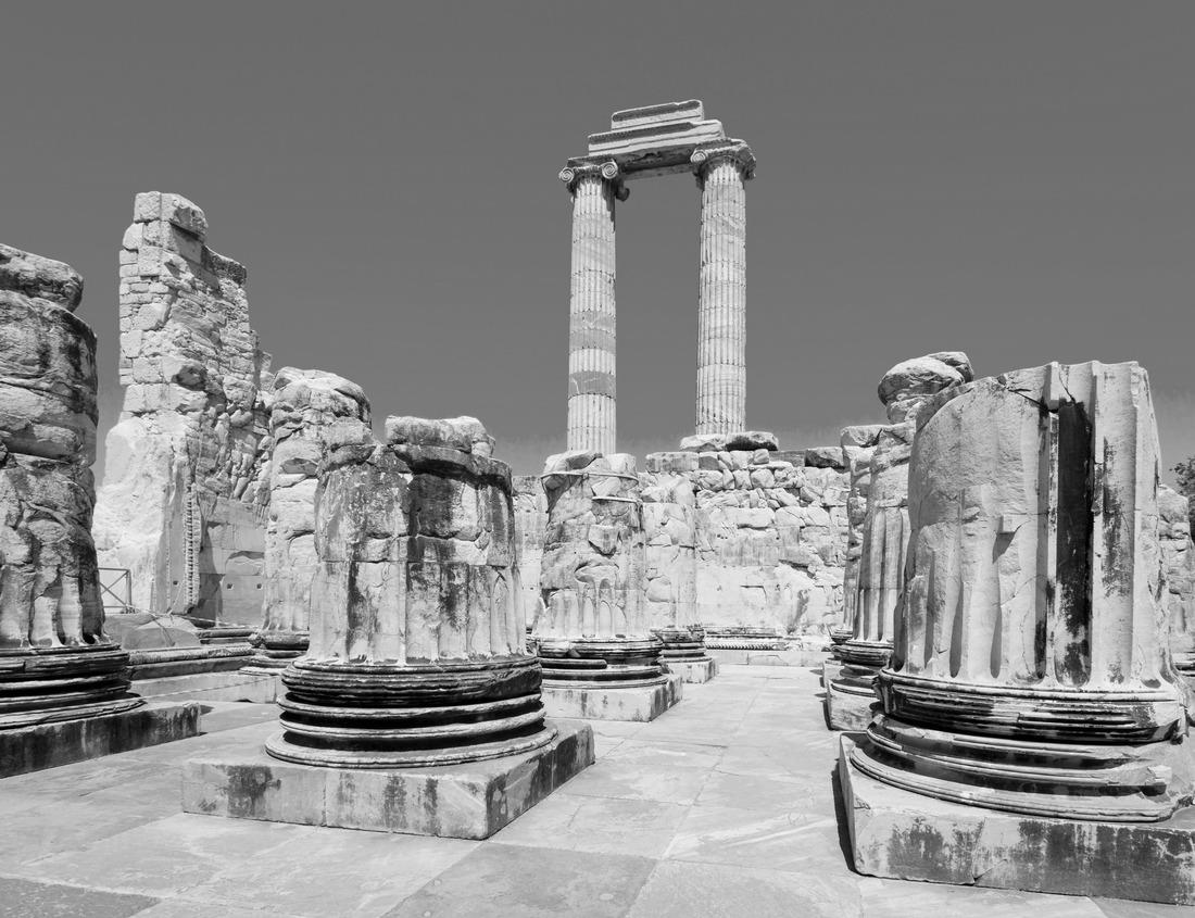 Noah Jigsaw Puzzle African pygmy storks (Anastomus lamelligerus) wait on dead trees over a flooded lake while hunting in Nyerere National Park (Selous Game Reserve) in southern Tanzania in black white 1000 pieces