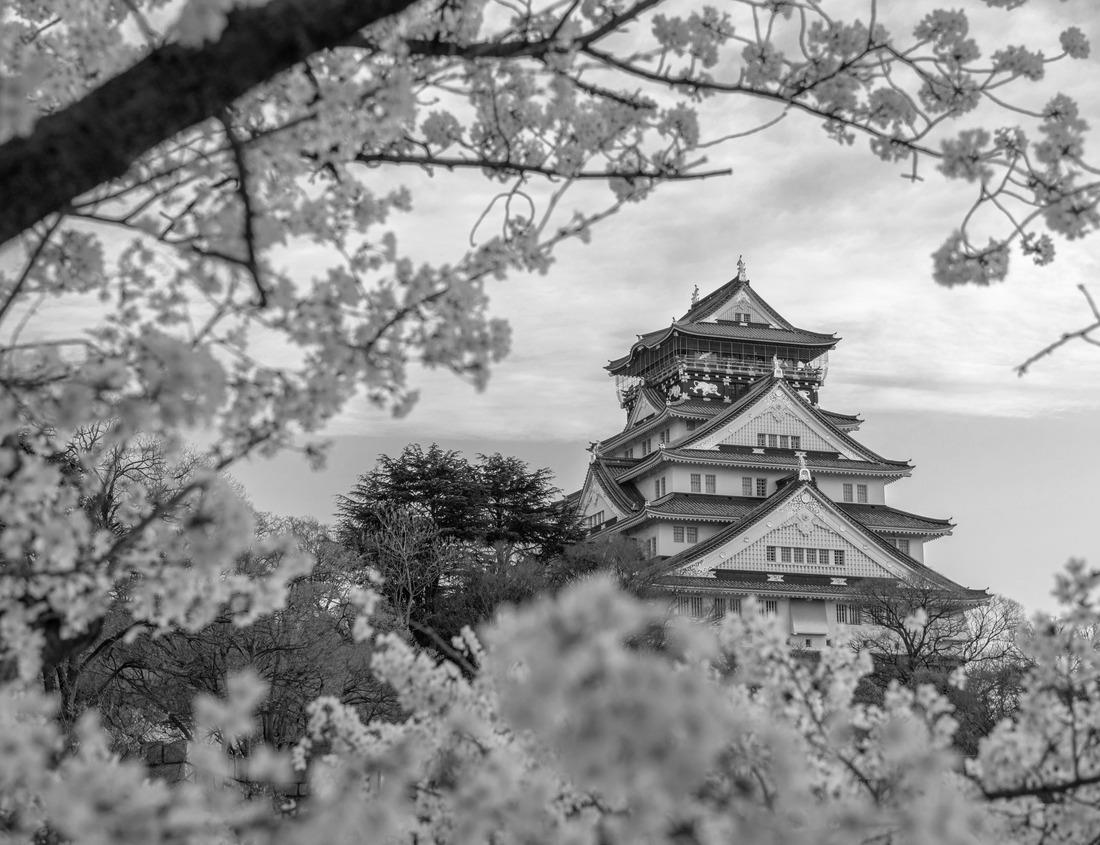 Noah Jigsaw Puzzle Aerial panoramic view of Kortrijk historic city center with Roman Catholic Church of Our Lady, Courtrai Begijnhof and red-tiled buildings, horizon breathtaking view, West Flanders province, Belgium in black white 1000 pieces