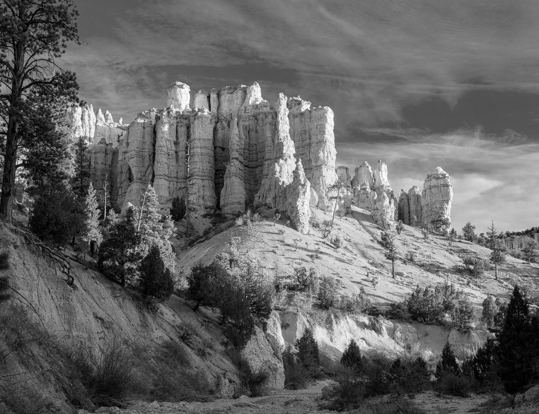 Noah Jigsaw Puzzle Sturminster Newton mill and river Stour, Dorset, England, United Kingdom in black white 1000 pieces