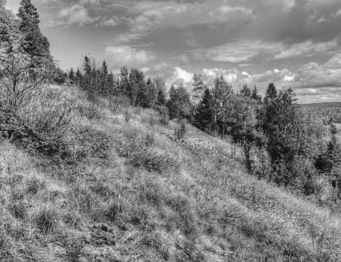 Noah Jigsaw Puzzle The coast and Thorncombe beacon, Dorset, England in black white 1000 pieces