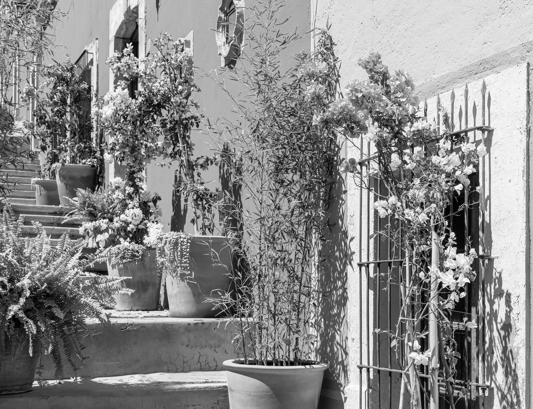 Noah Jigsaw Puzzle Aerial Sunrise over Ypsilanti Water Tower and Suburban Homes, Michigan in black white 1000 pieces