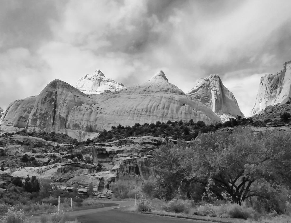 Noah Jigsaw Puzzle A 4x4 vehicle takes foreign tourists on safaris across the savannah in Mikumi National Park, Tanzania in black white 1000 pieces