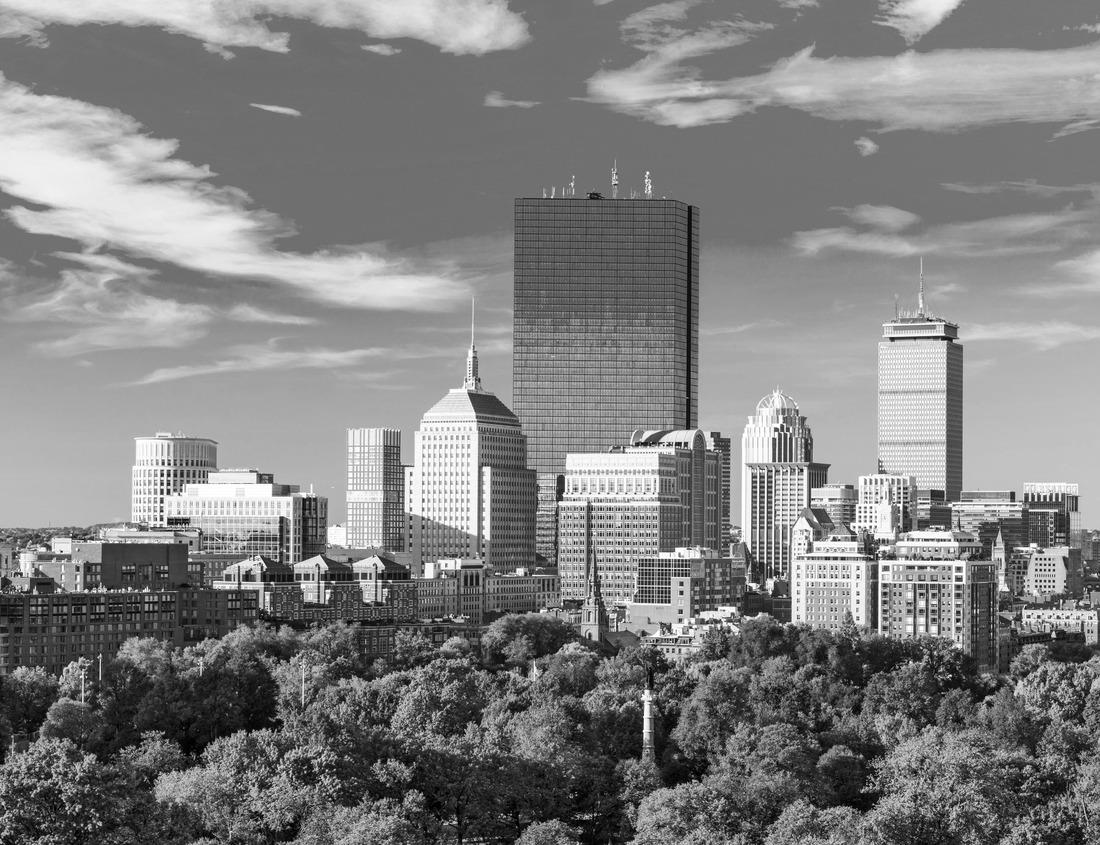 Noah Jigsaw Puzzle Old city of Fritzlar, Hessen, Germany in black white 1000 pieces