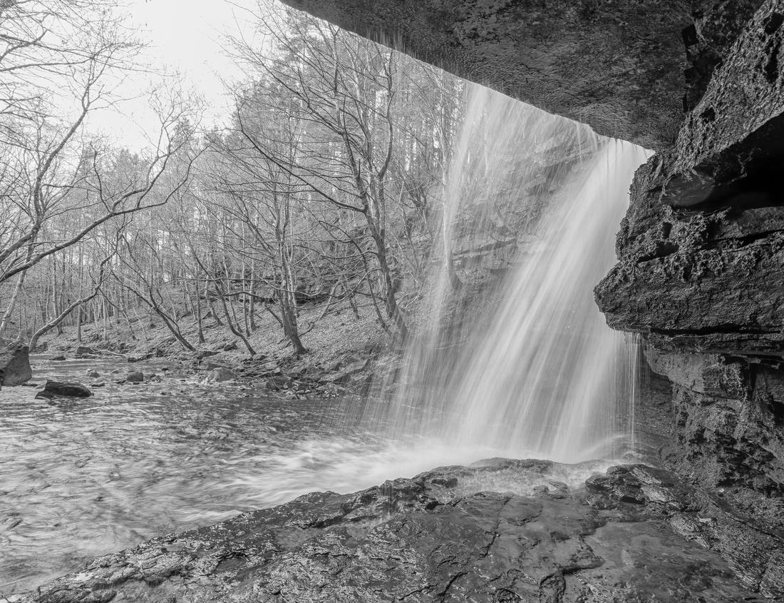 Noah Jigsaw Puzzle The view of Reflection Lake in Kings Canyon National Park in black white 1000 pieces