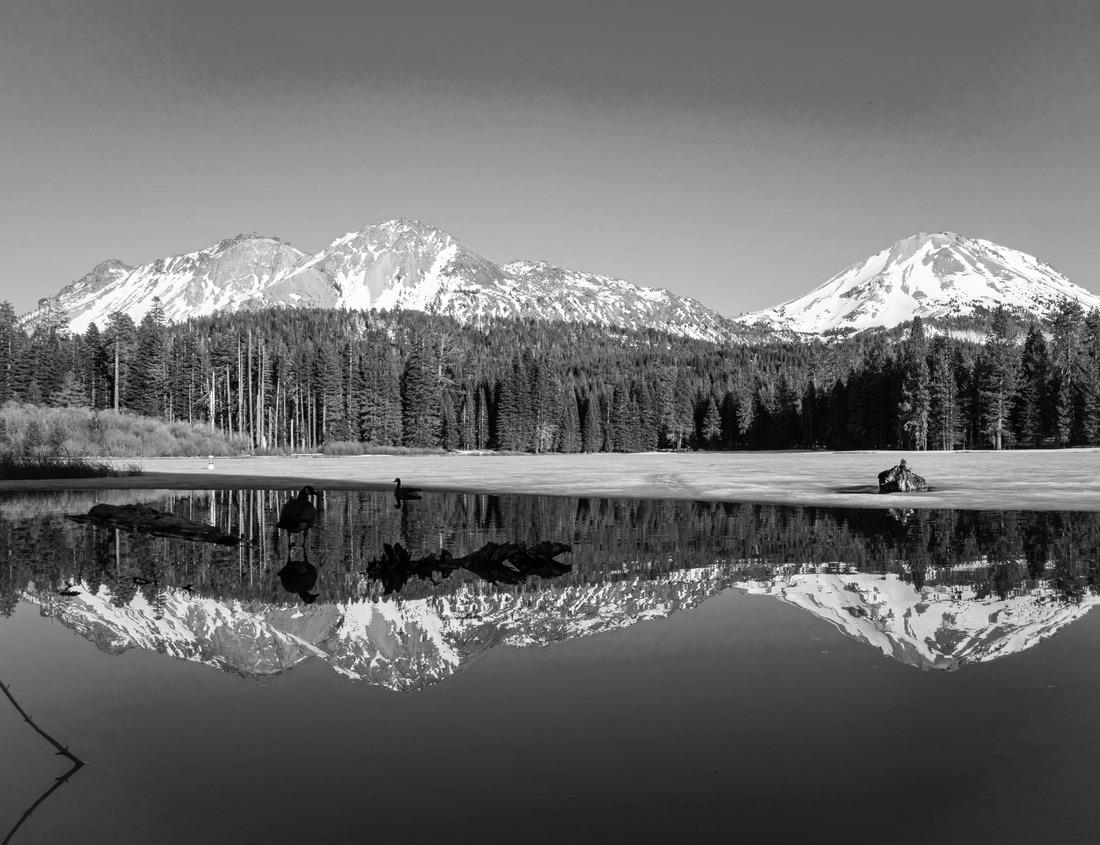Noah Jigsaw Puzzle View of typical Flemish architecture houses on the summer street of the old Belgian town Diksmuide in black white 1000 pieces
