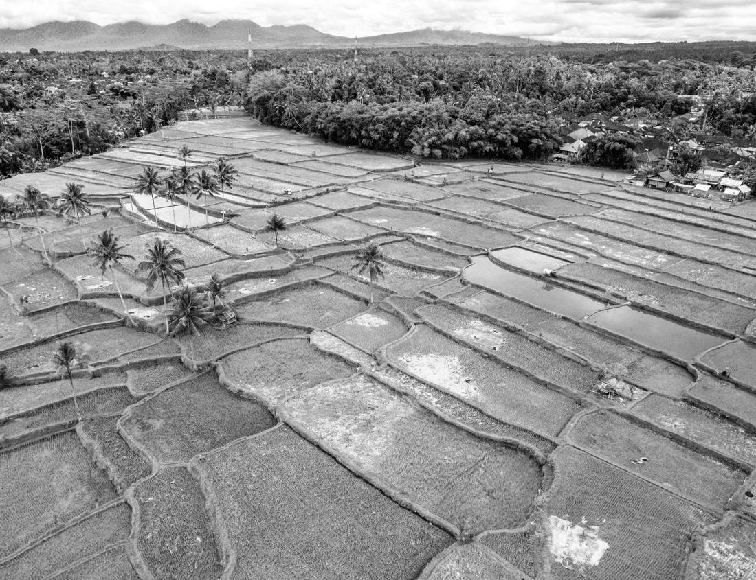 Noah Jigsaw Puzzle Alessandria, Piemont, Piemont, Piemont, Italien, Unesco, Kleines Dorf, Piccolo, Borgo in black white 1000 pieces