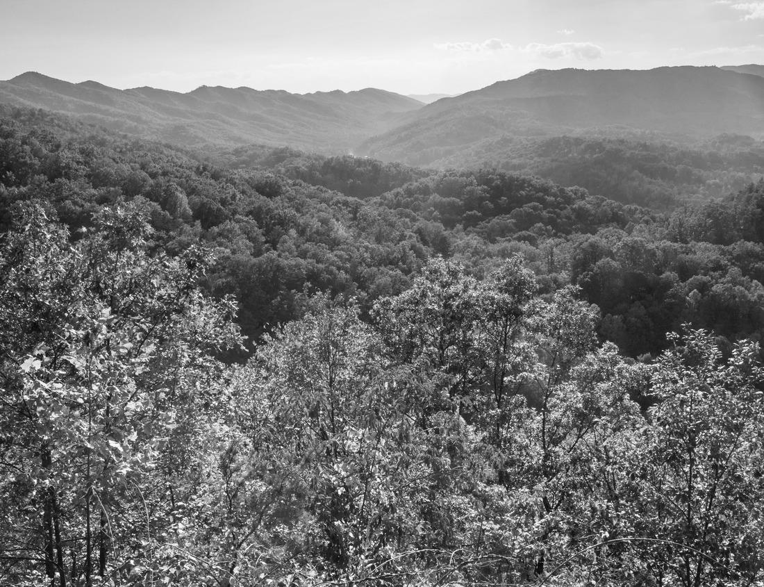 Noah Jigsaw Puzzle Downtown Boise, Idaho skyline and the snow covered foothills and Bogus Basin Ski Resort in black white 1000 pieces