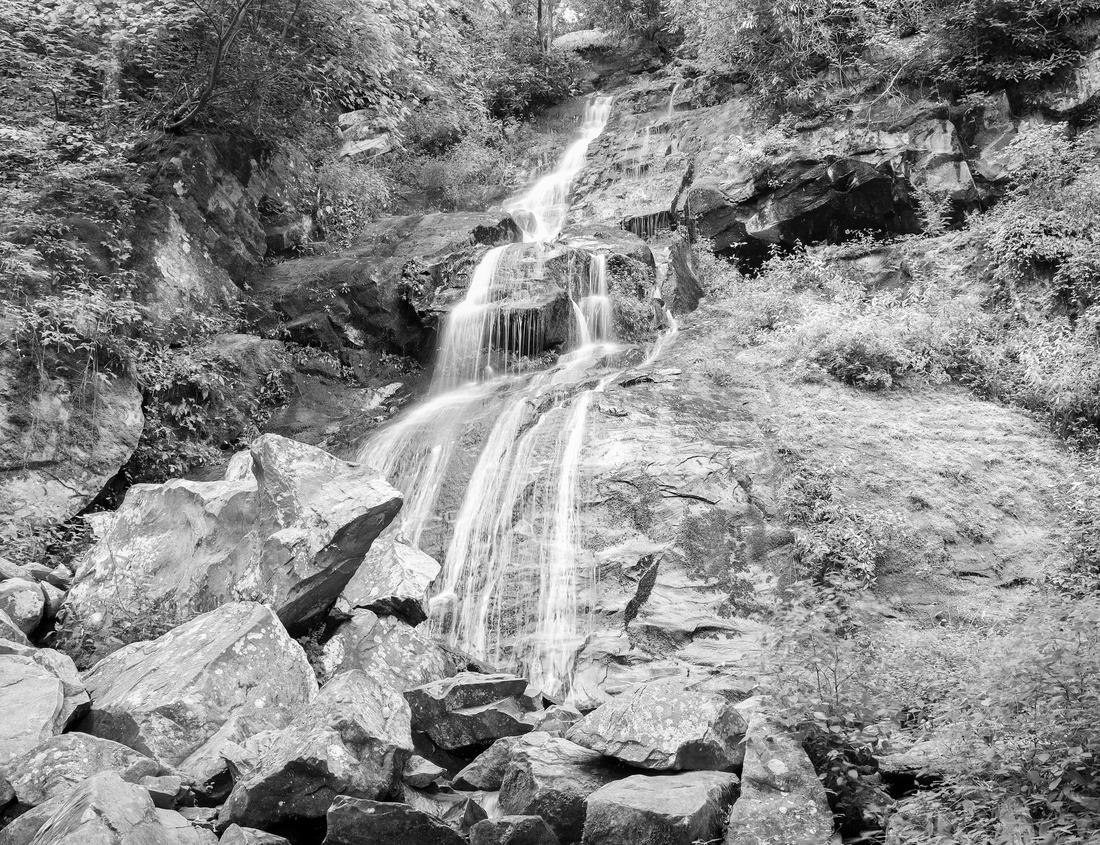 Noah Jigsaw Puzzle Güstrow town hall with the steeple of parish church “St. Marien” - German inscription: “Rathaus” (“Town Hall”) in black white 1000 pieces