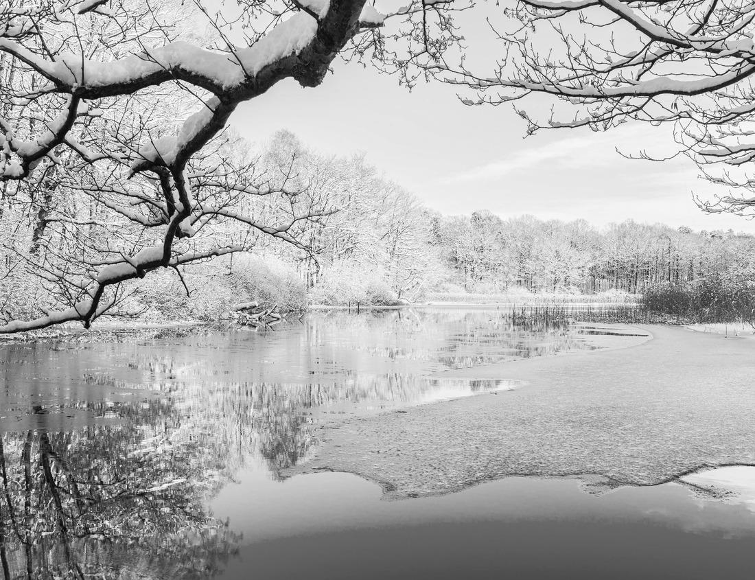 Noah Jigsaw Puzzle Diaramor Museum in troglodyte style building, Matmata, Tunisia, North Africa, Africa in black white 1000 pieces
