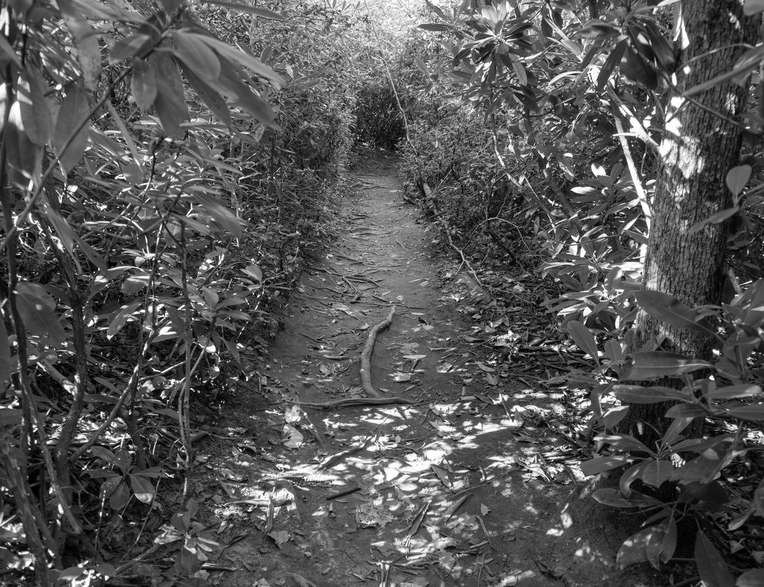 Noah Jigsaw Puzzle Morning Sunrise light on Teton Mountain range in Wyoming Alpen glow of orange and pink on rugged mountains with crescent moon in black white 1000 pieces