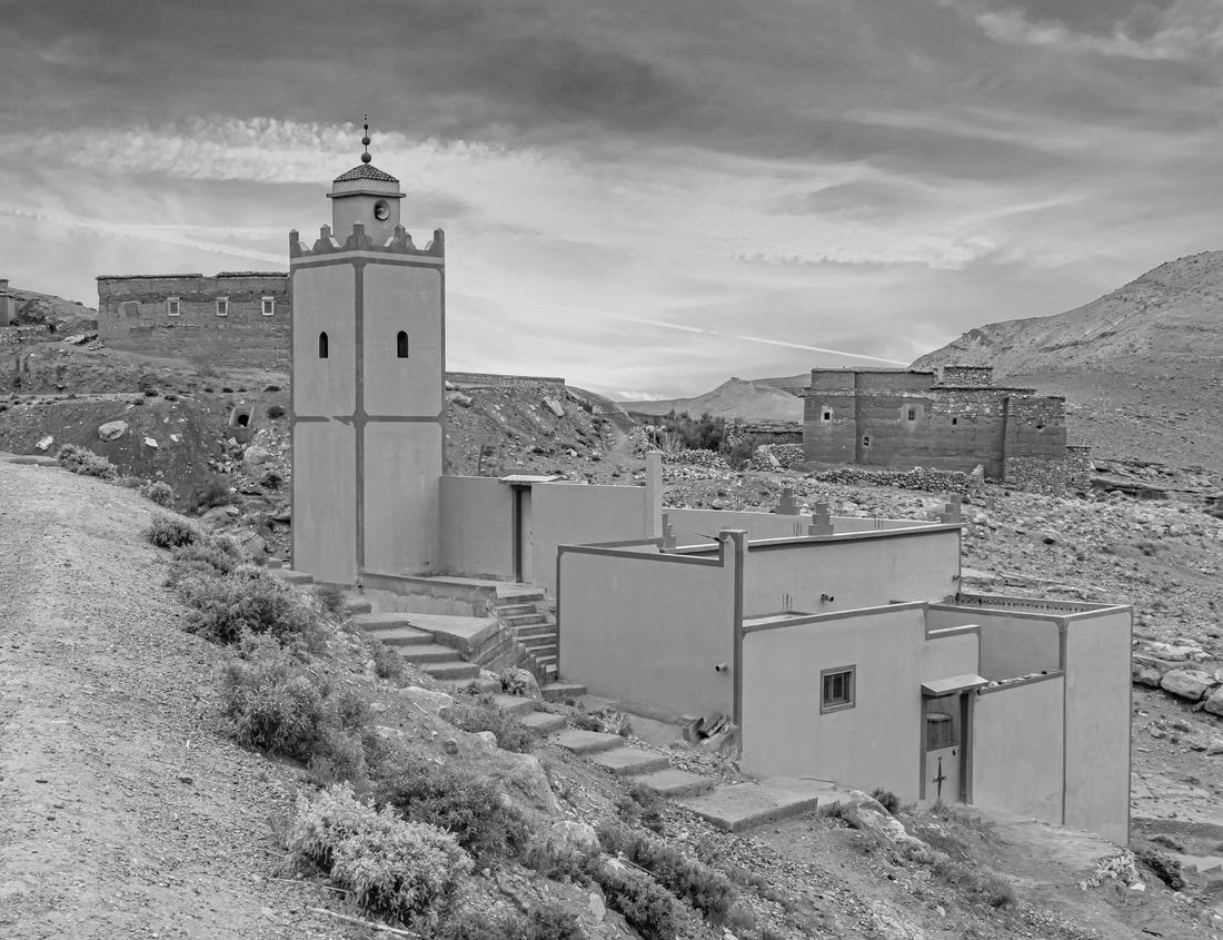 Noah Jigsaw Puzzle A hillside full of spring blooming azalea bushes reflecting in water of the Ashley River in Charleston, South Carolina in black white 1000 pieces