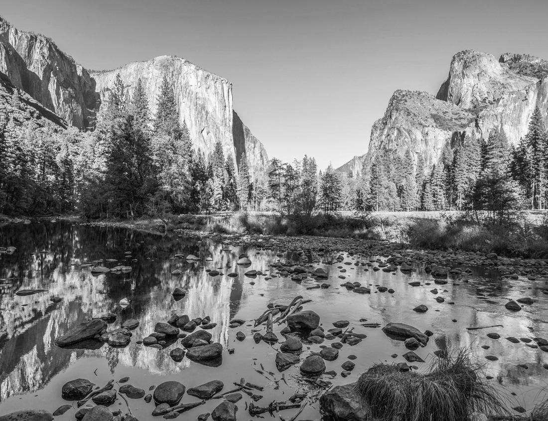 Noah Jigsaw Puzzle Mols Bjerge Kalo, Jutland, Denmark in black white 1000 pieces