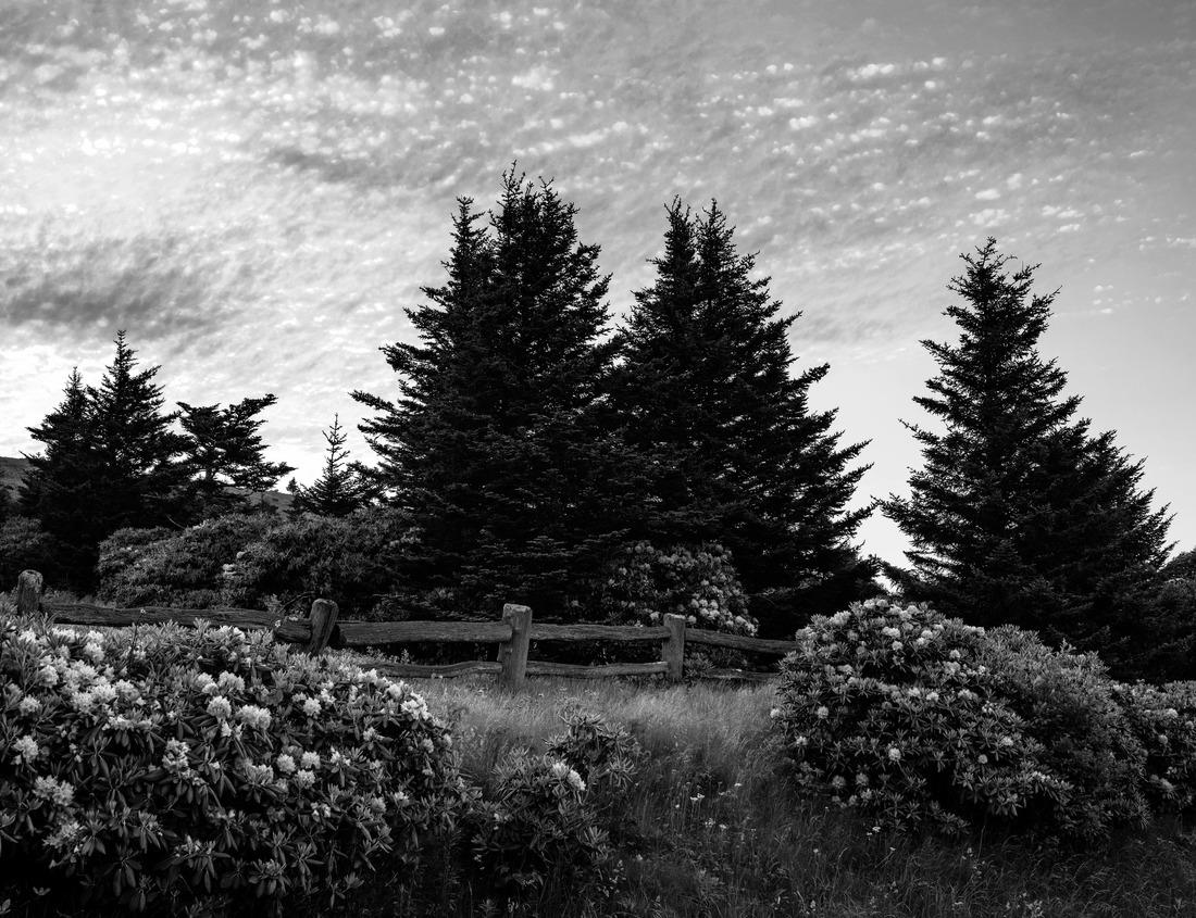 Noah Jigsaw Puzzle The PuHouhonua o Honaunau National Historical Park is a United States National Historical Park on the west coast of the island of Hawaii in the state of Hawaii in black white 1000 pieces