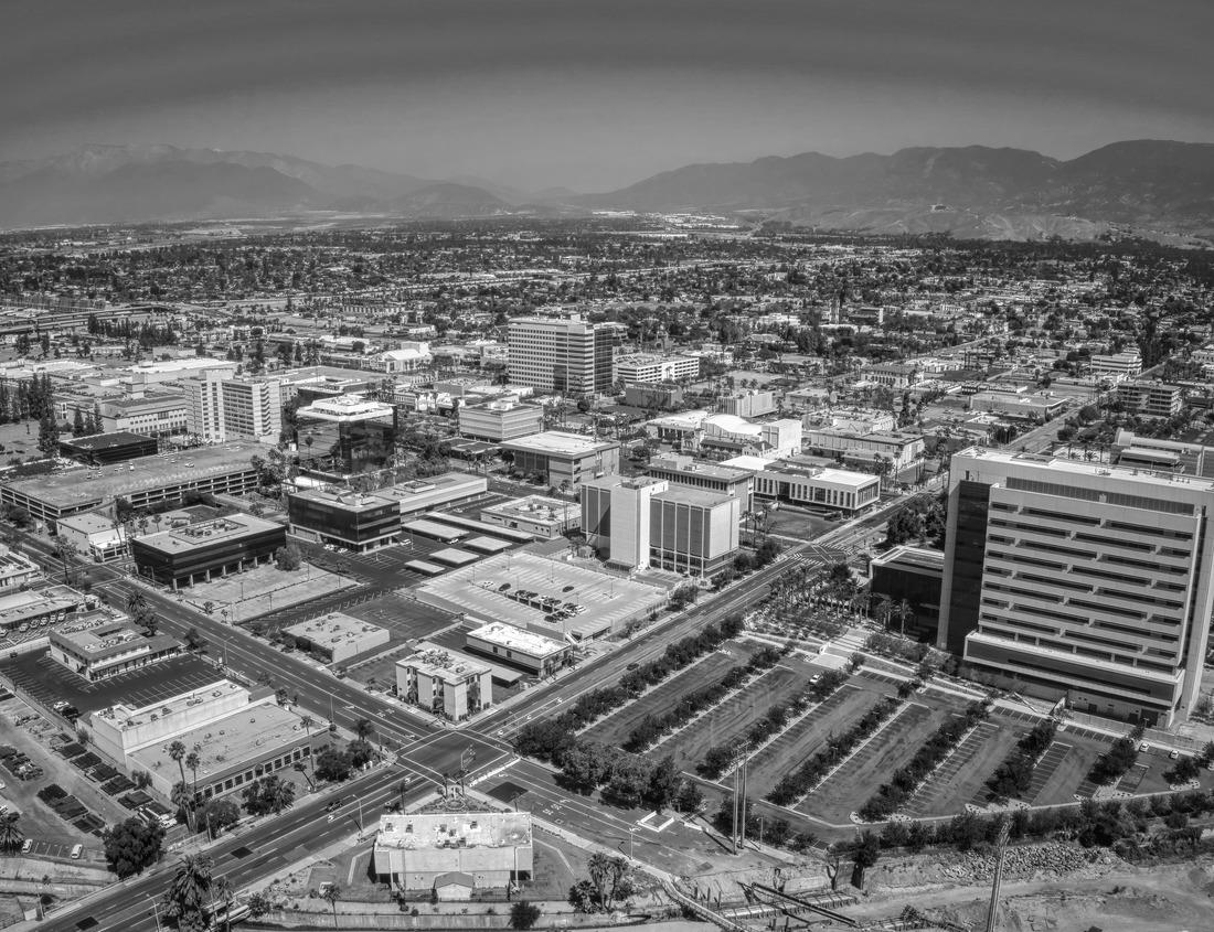 Noah Jigsaw Puzzle Parish of Our Lady of the Assumption in Lagos de Moreno - Jalisco, Mexico in black white 1000 pieces