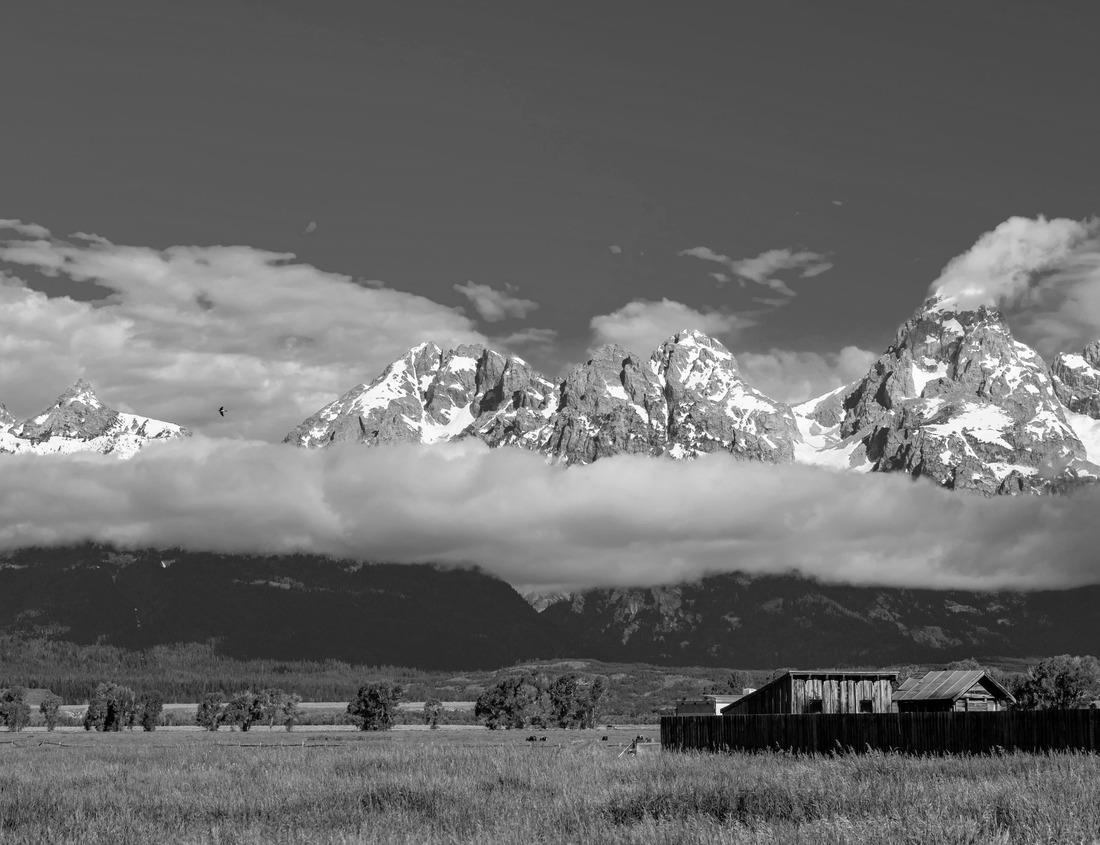 Noah Jigsaw Puzzle Camp at night in the Sahara desert in Morocco in black white 1000 pieces