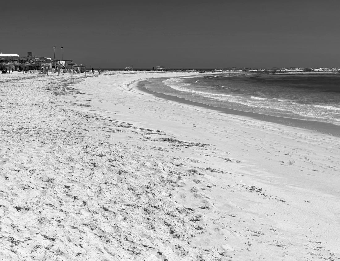 Noah Jigsaw Puzzle Des Moines, Iowa, USA downtown cityscape on the river at twilight in black white 1000 pieces