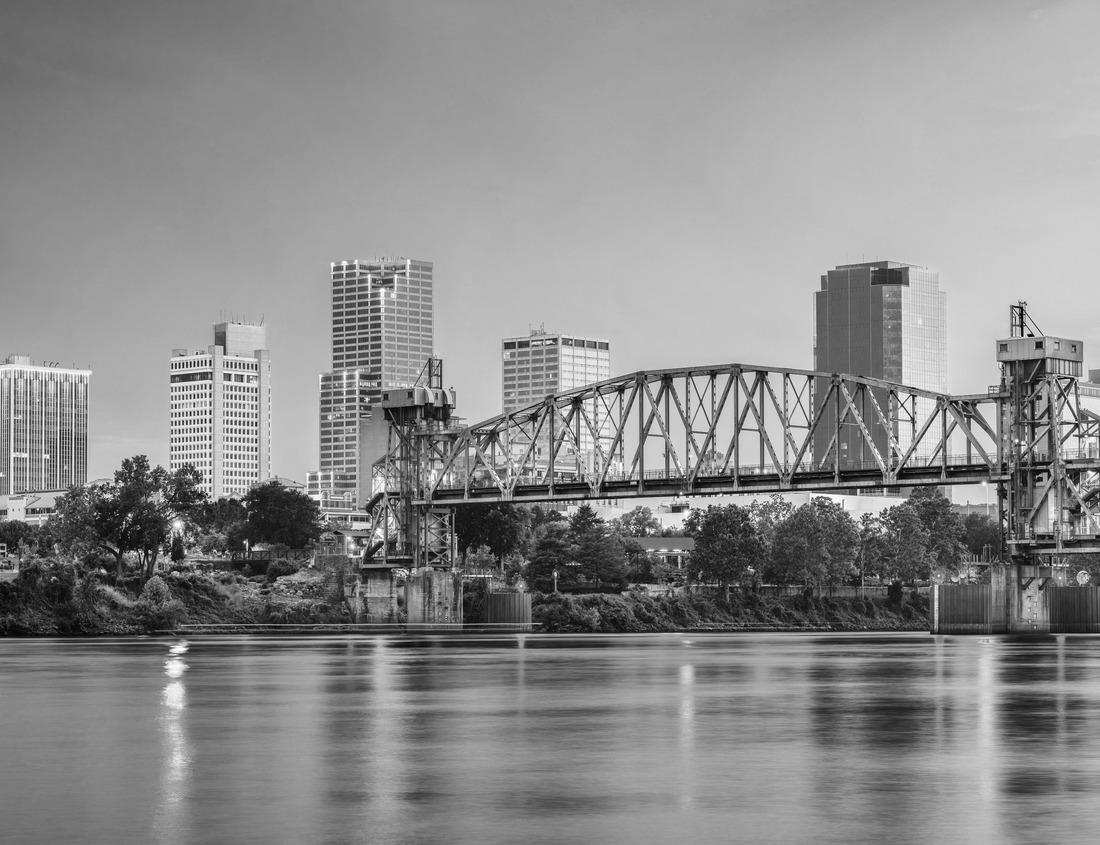 Noah Jigsaw Puzzle Texas longhorn cow on a colorful spring meadow in black white 1000 pieces