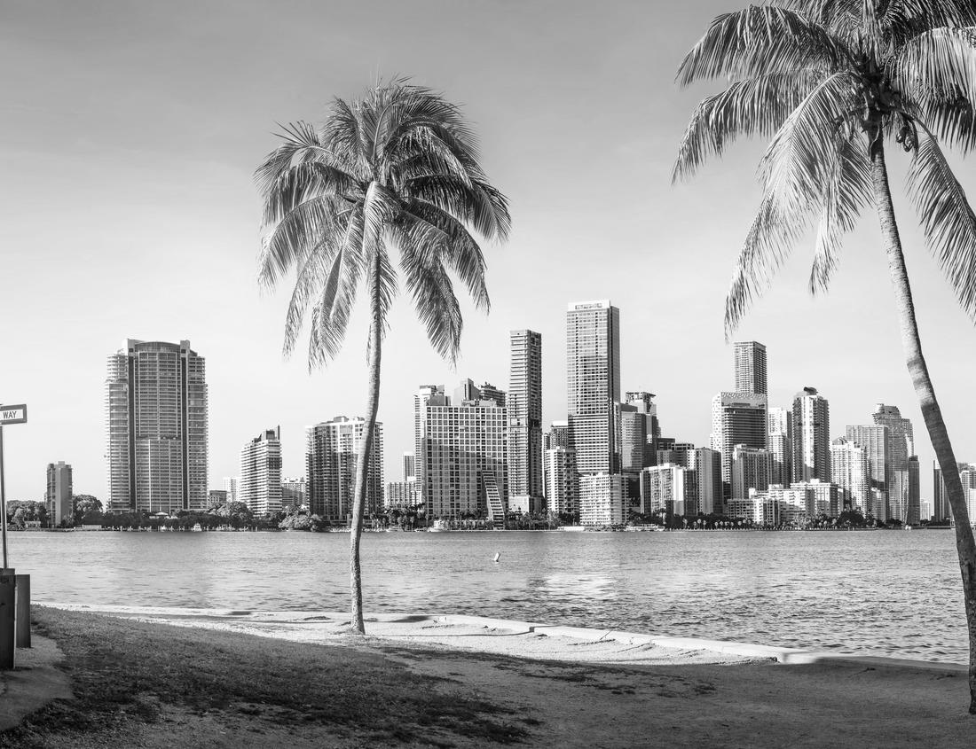 Ljubljana, Slovenia - Aerial Ljubljana castle on a summer afternoon with Franciscan Church of the Annunciation, Ljubljana Cathedral and skyline of the capital of Slovenia at sunset 1000pc PuzzleBlack and White